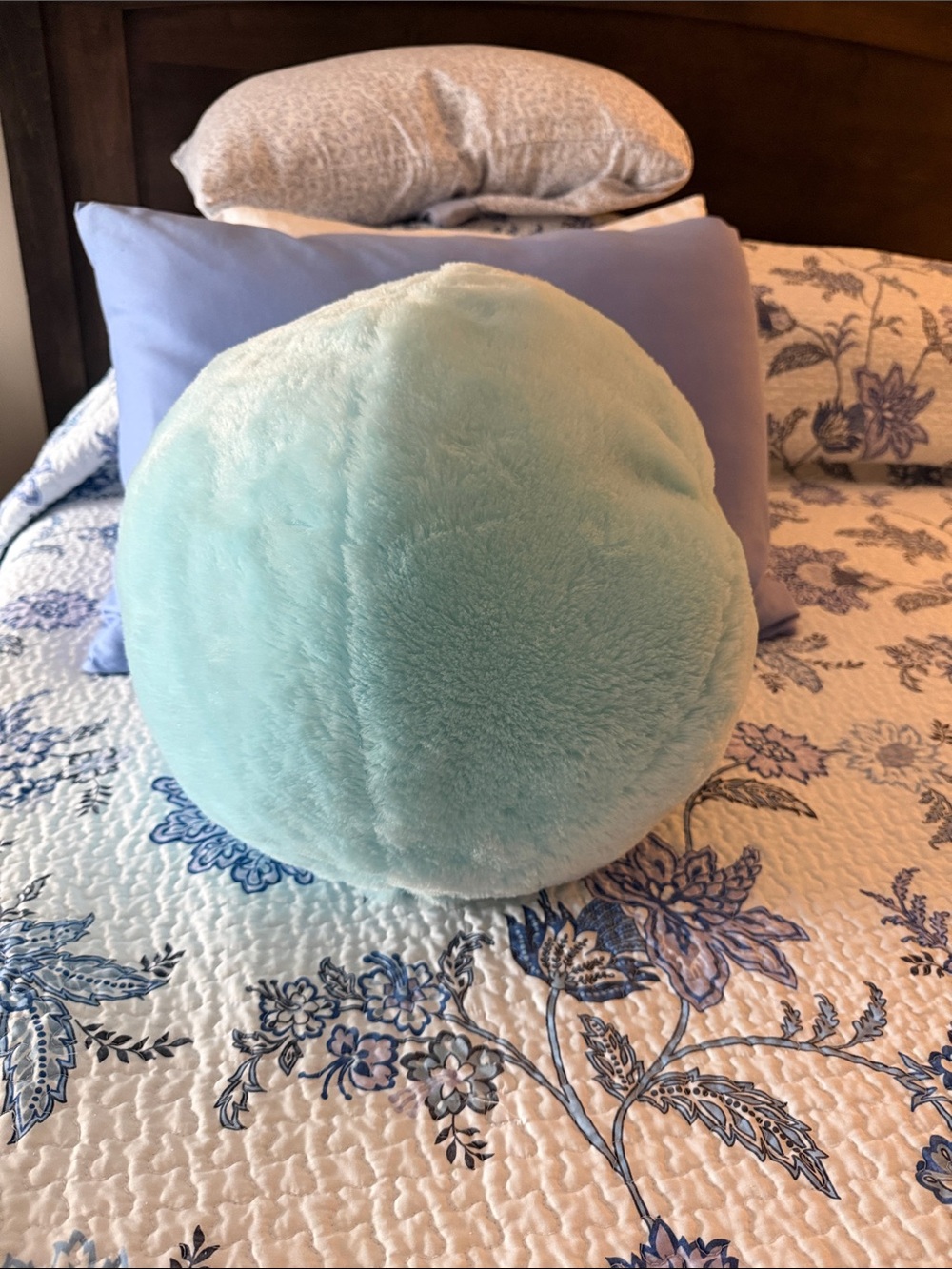 Plush Round Throw Pillow in light blue